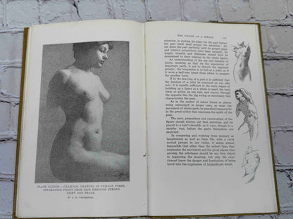 The human Figure