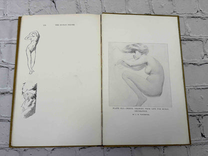 The human Figure