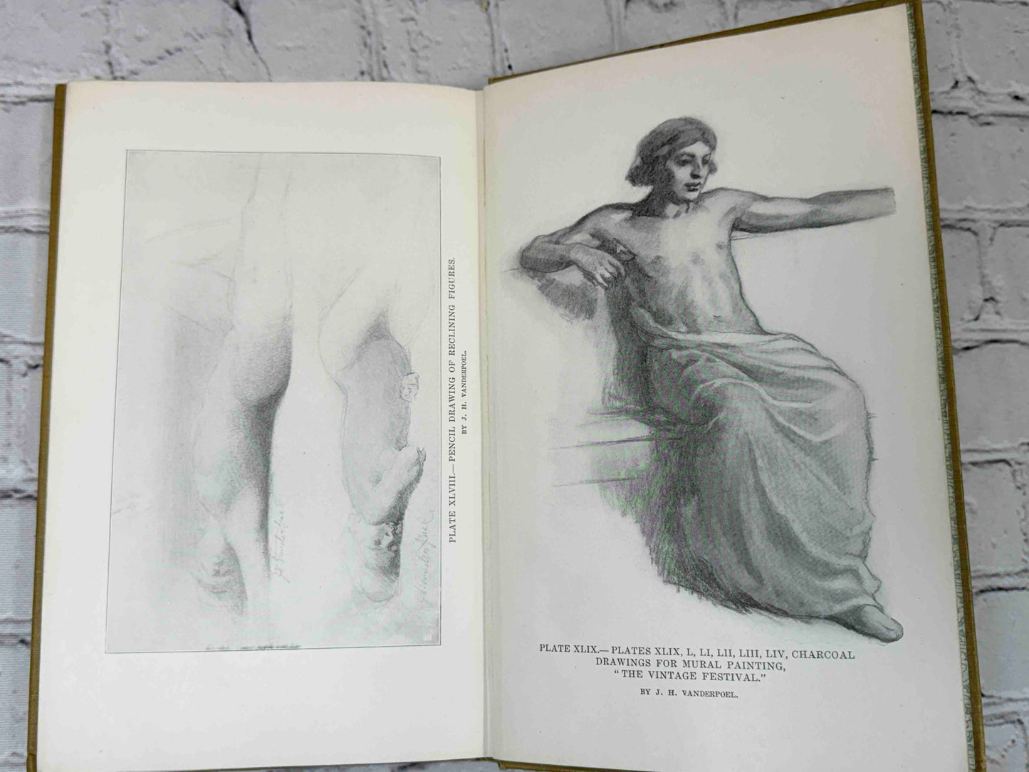 The human Figure