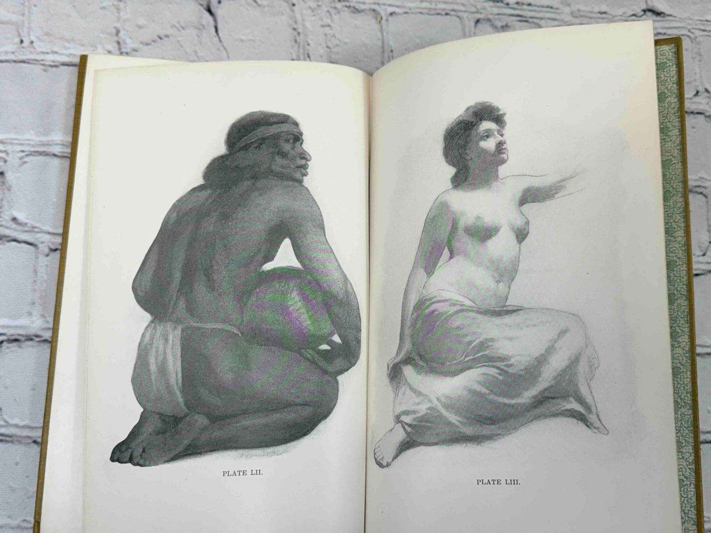 The human Figure