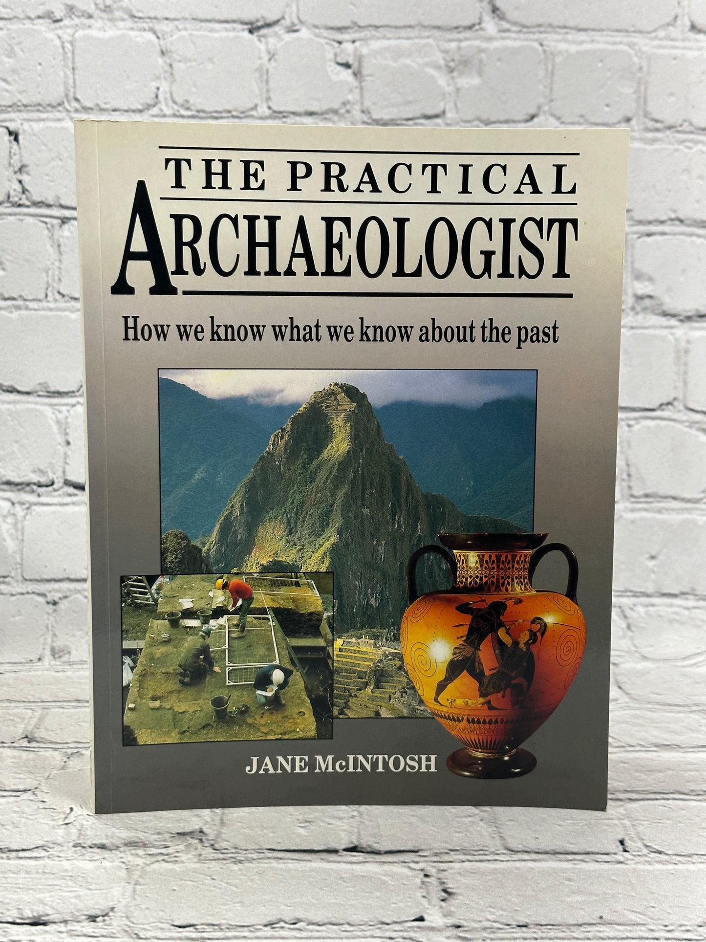 The Practical Archaeologist: How We Know What We Know..by Jane McIntosh [1986]