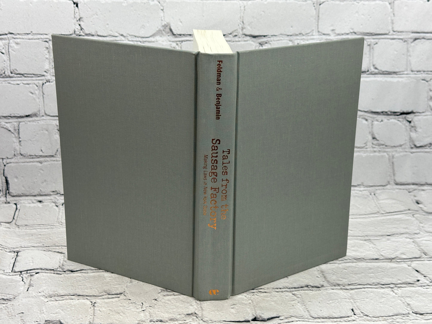 Tales from the Sausage Factory Making Laws in NY By Daniel Feldman [Signed · 1st Edition · 2010]