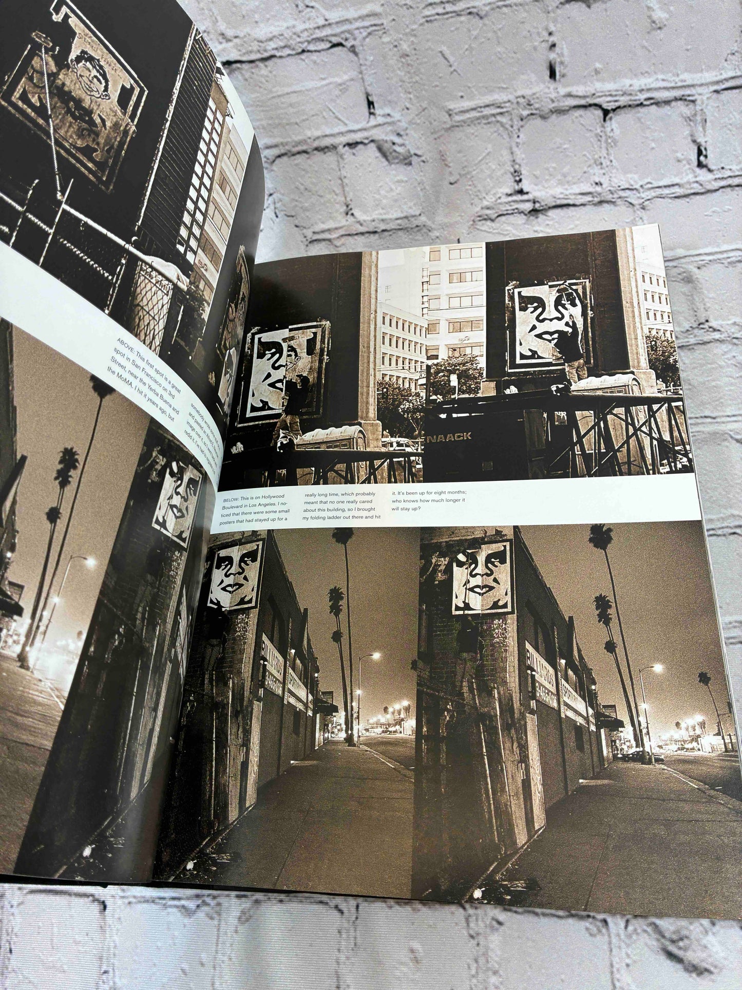 Obey: Supply & Demand The Art of Shepard Fairey
