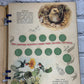 Nature Studies in Thrift by Genevieve Burke [Bank Savings Coin Book · 1941]