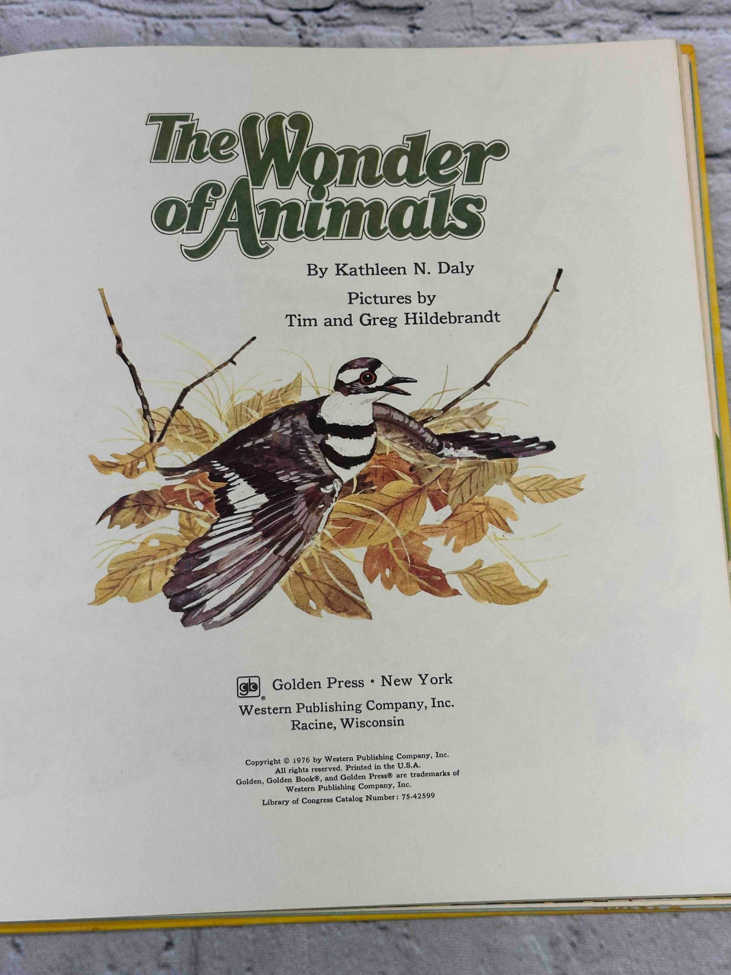 The Wonder Book of Animals