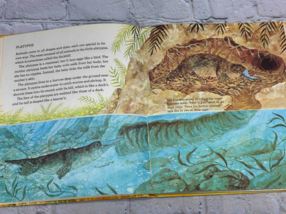 The Wonder Book of Animals