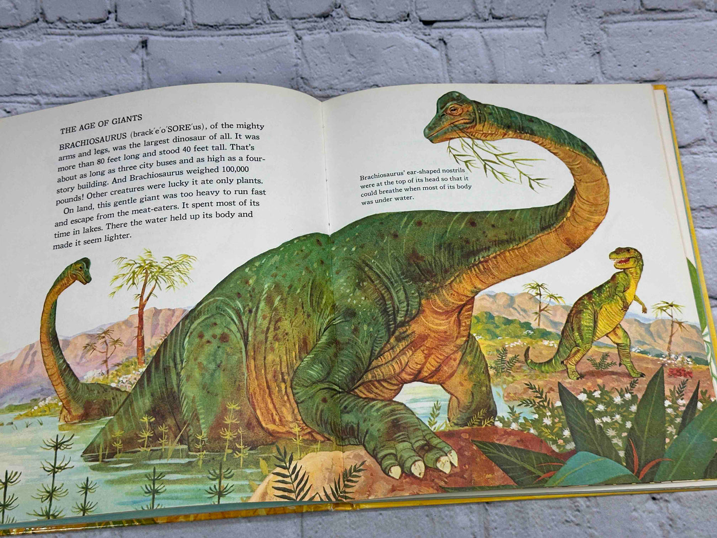 The Wonder Book of Animals