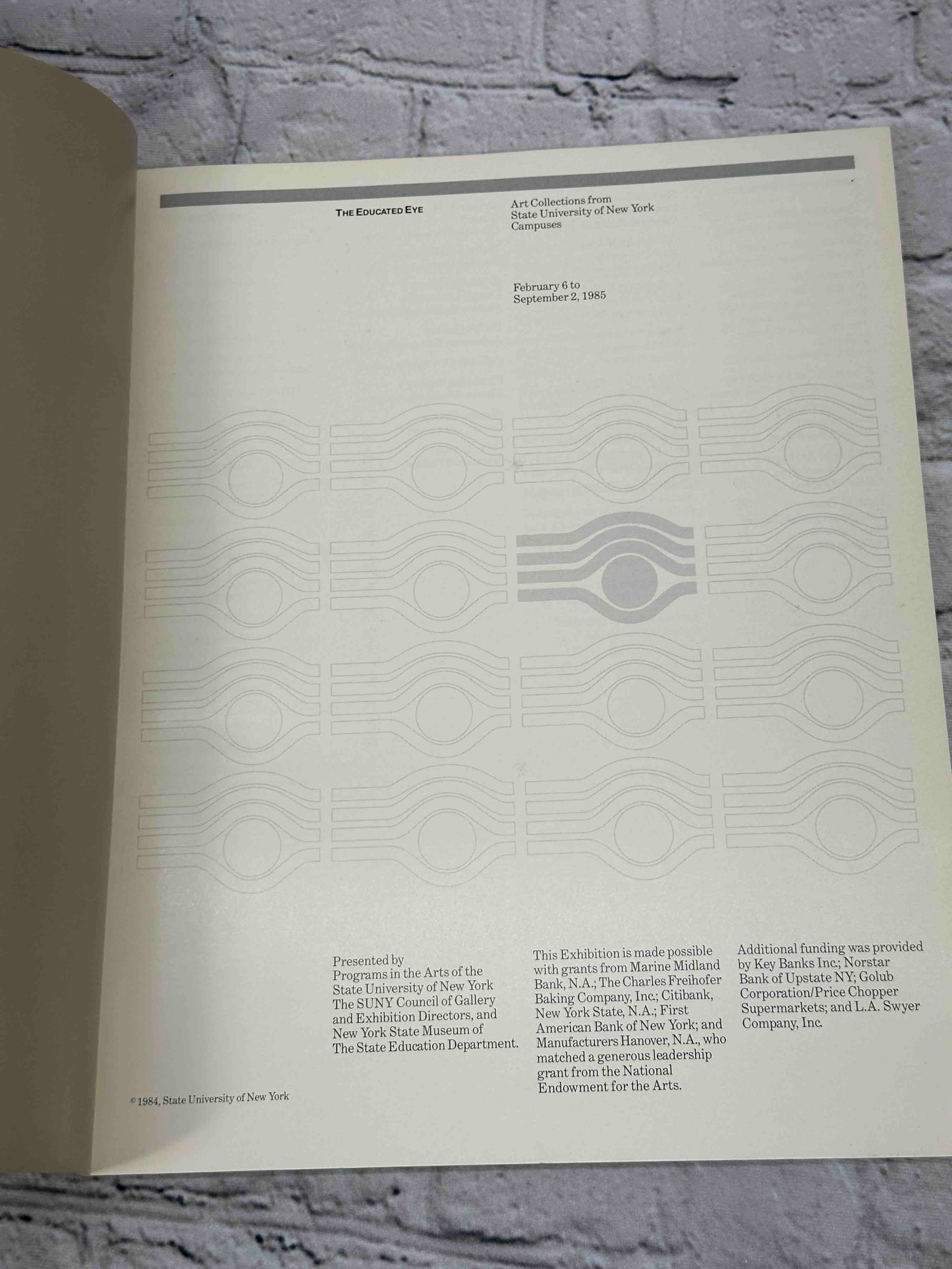 The Educated Eye (Art Collection)