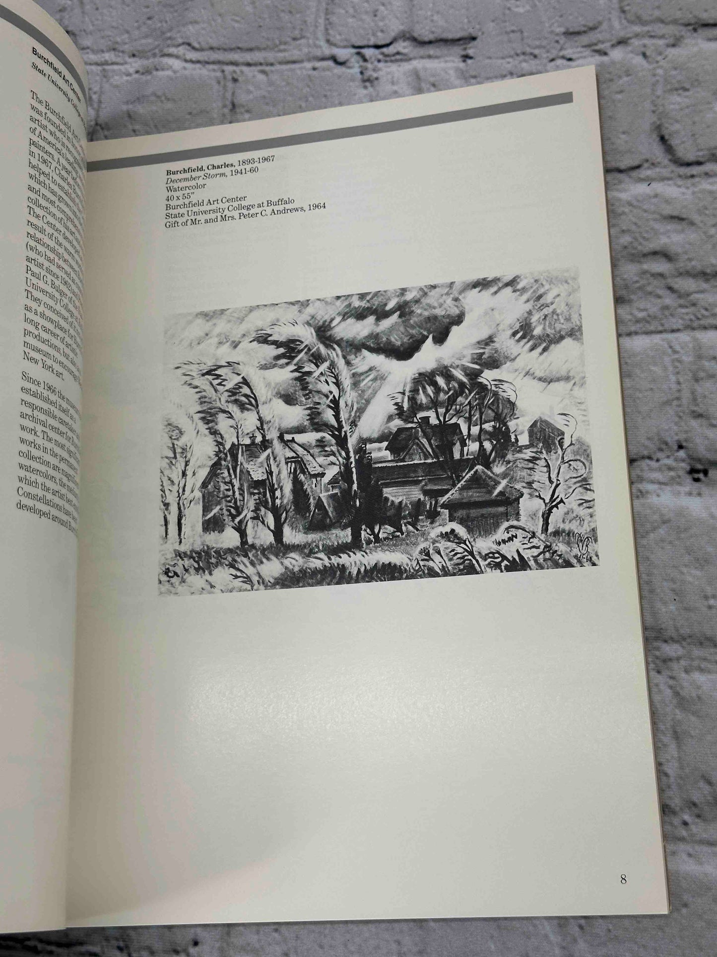 The Educated Eye (Art Collection)