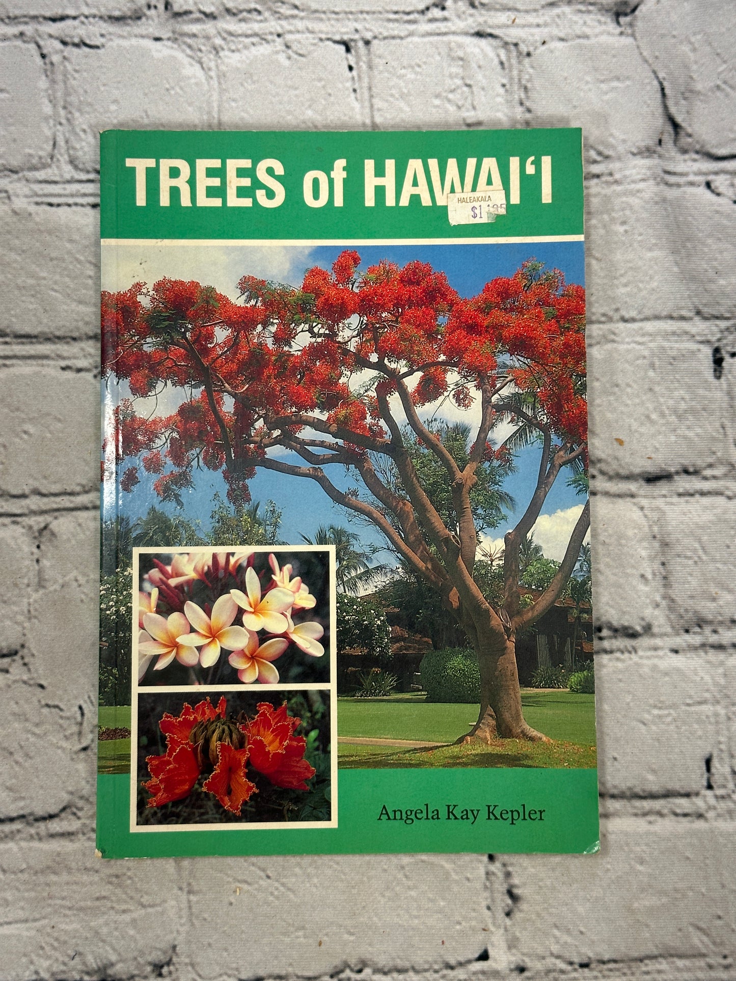 Trees of Hawaii by Angela Kay Kepler [1990 · 1st Printing]