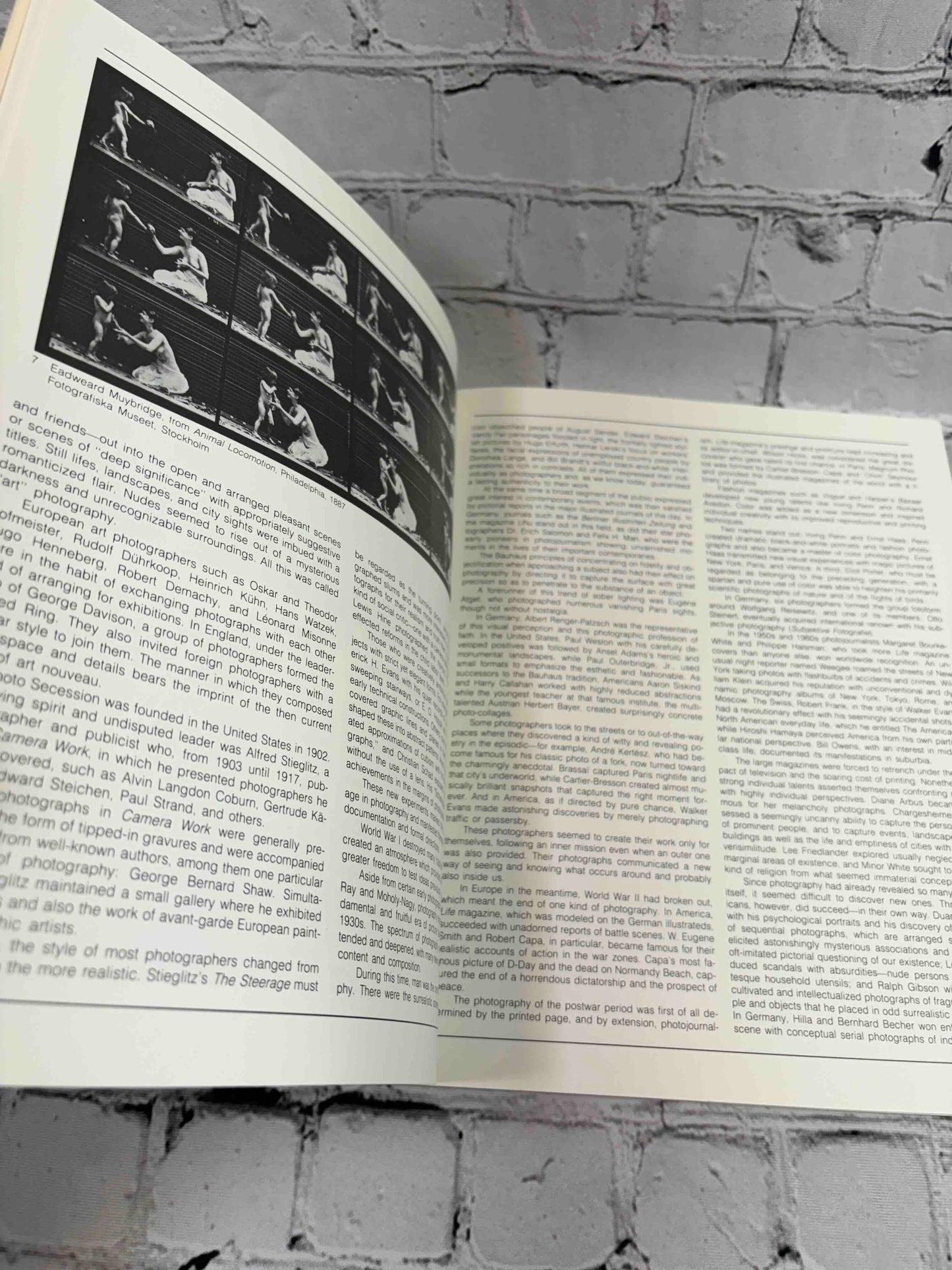 Imaginary Photo Museum: With 457 Photographs from 1836 to the Present