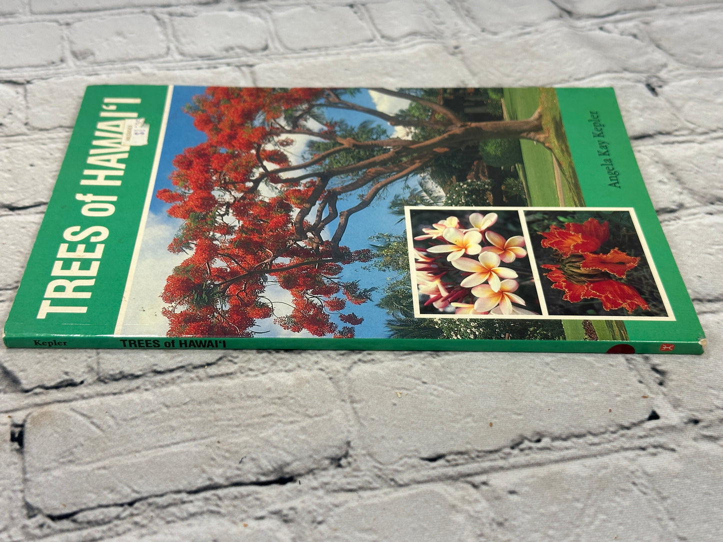 Trees of Hawaii by Angela Kay Kepler [1990 · 1st Printing]