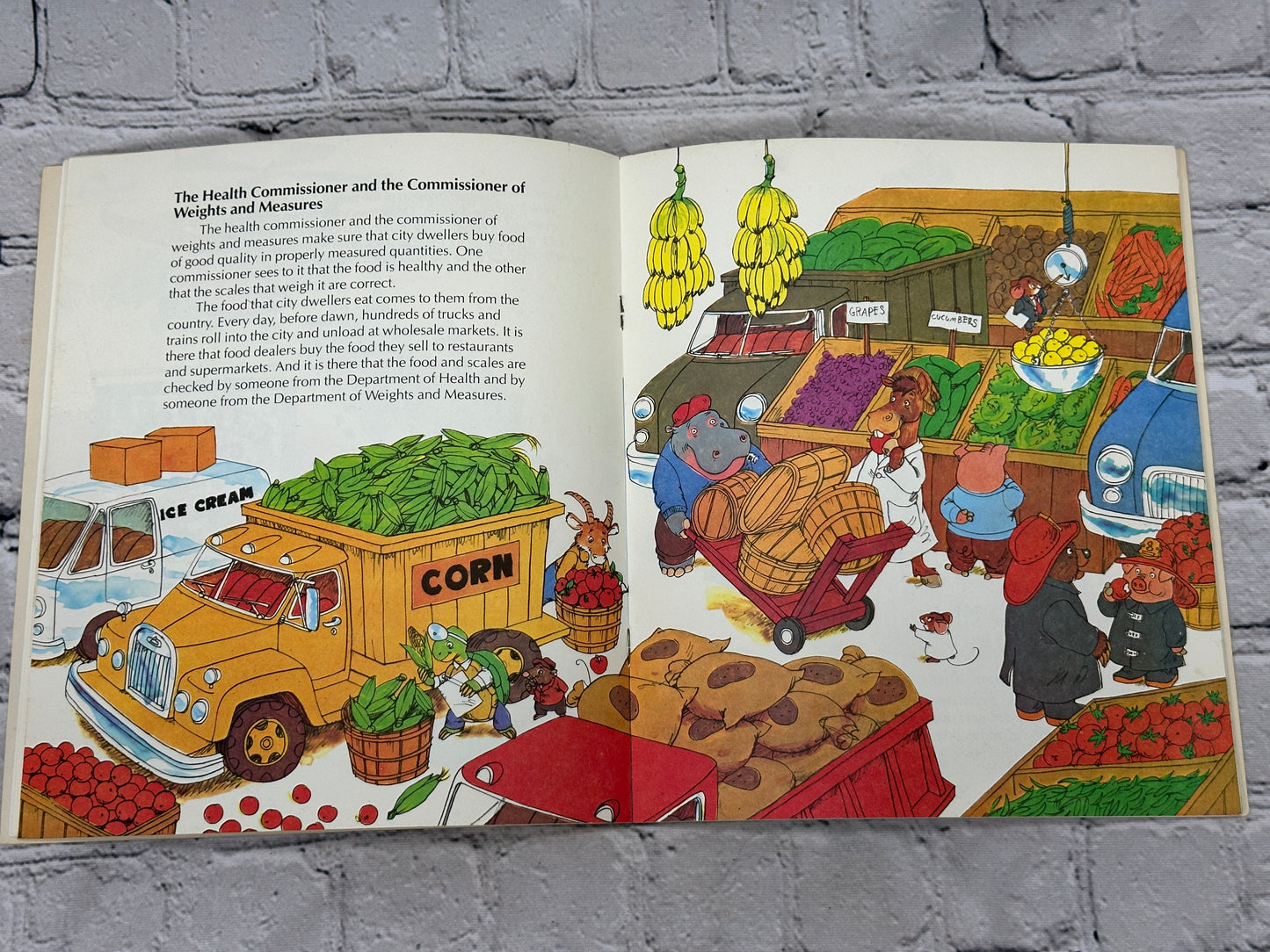 Who Runs the City? Illustrated by Hildebrandts [Pandaback Book · 1978]