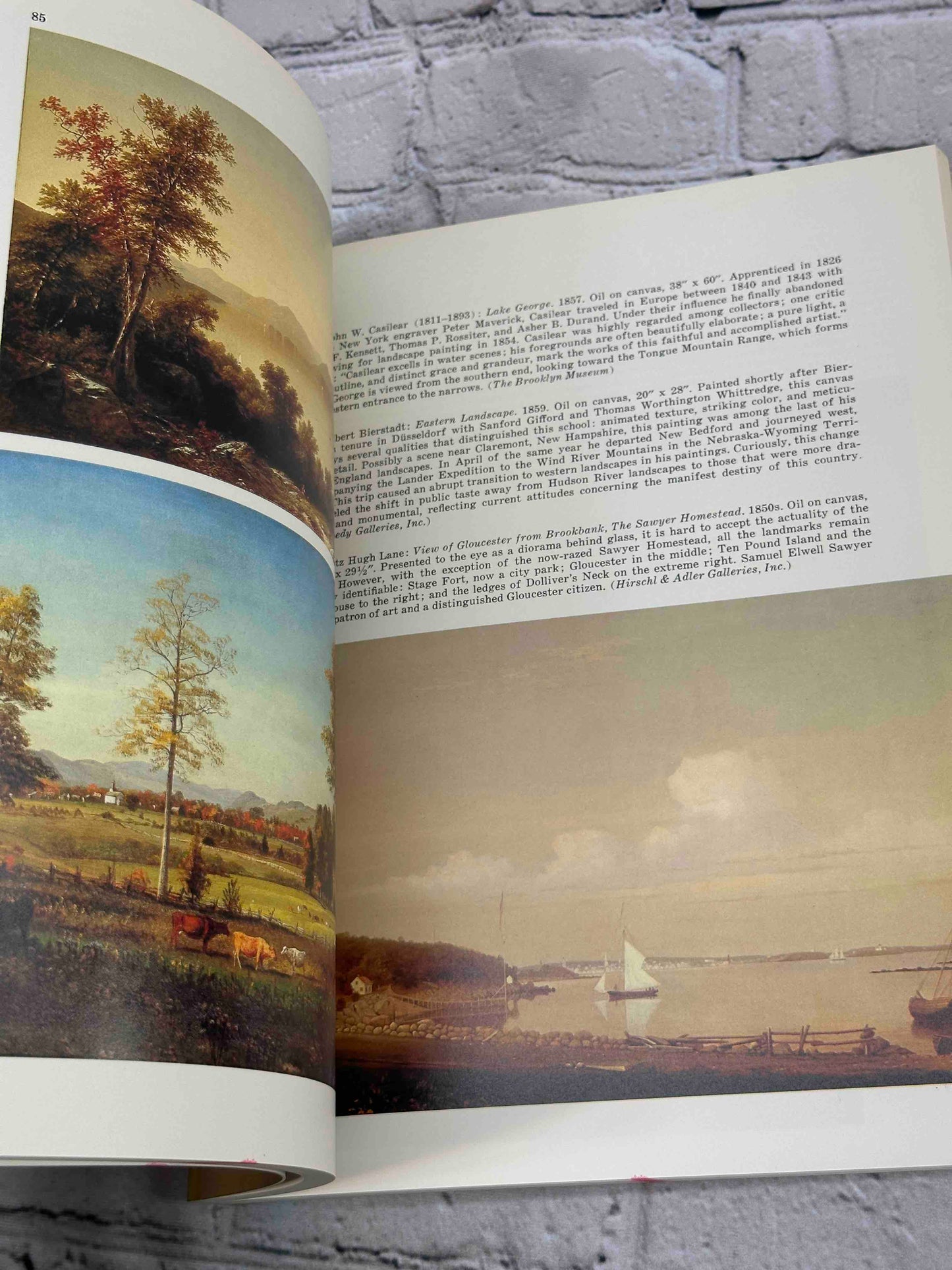 The American Landscape Tradition: A Study and Gallery of Paintings