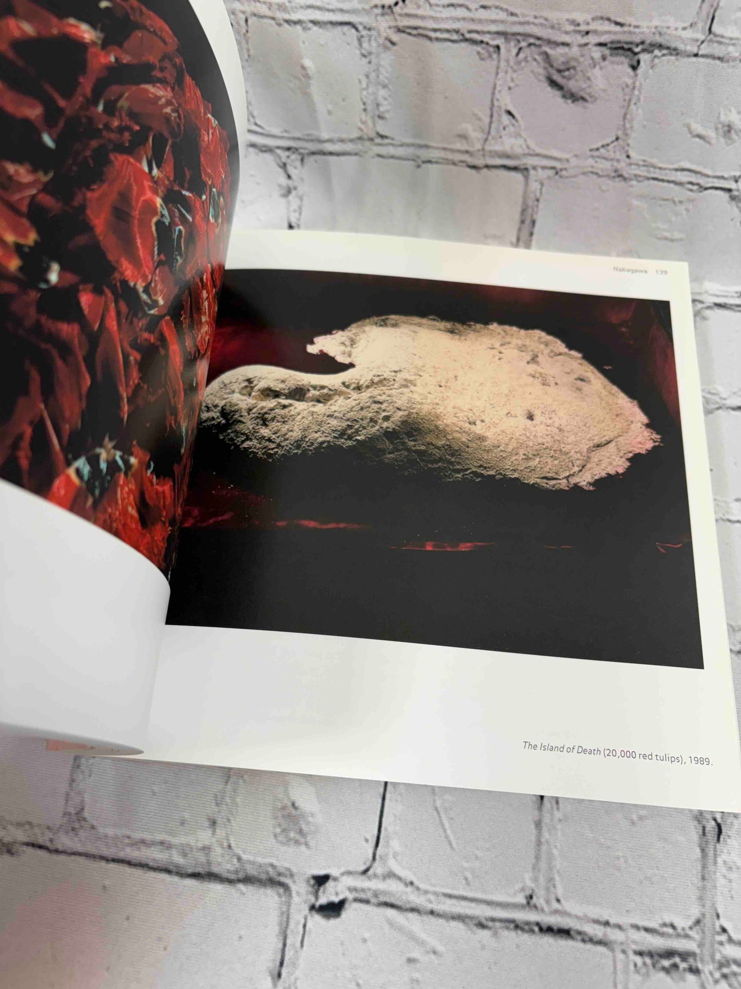 Heavy Light: Recent Photography and Video From Japan