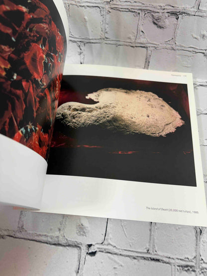 Heavy Light: Recent Photography and Video From Japan
