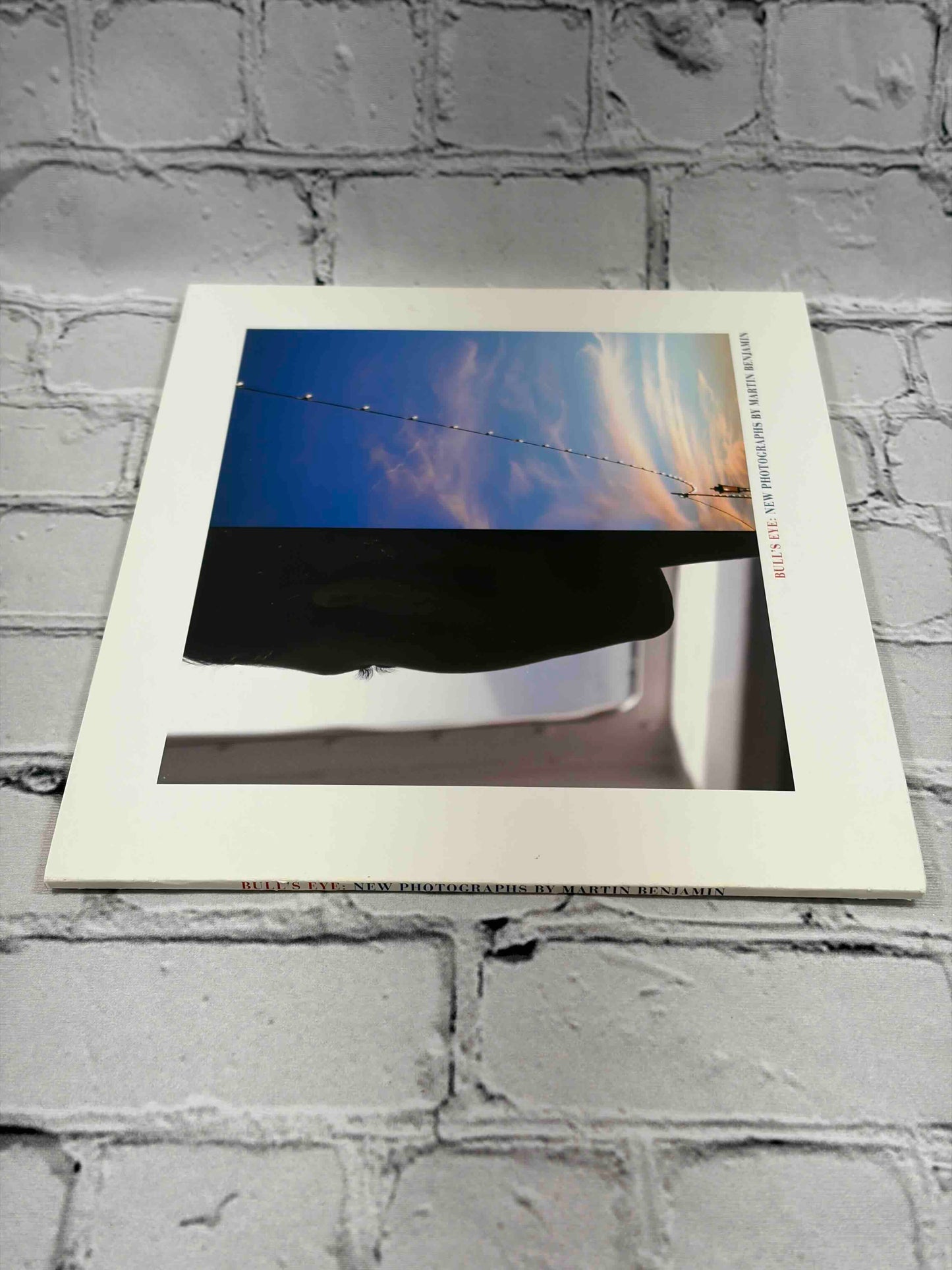 Bull's Eye: New Photographs