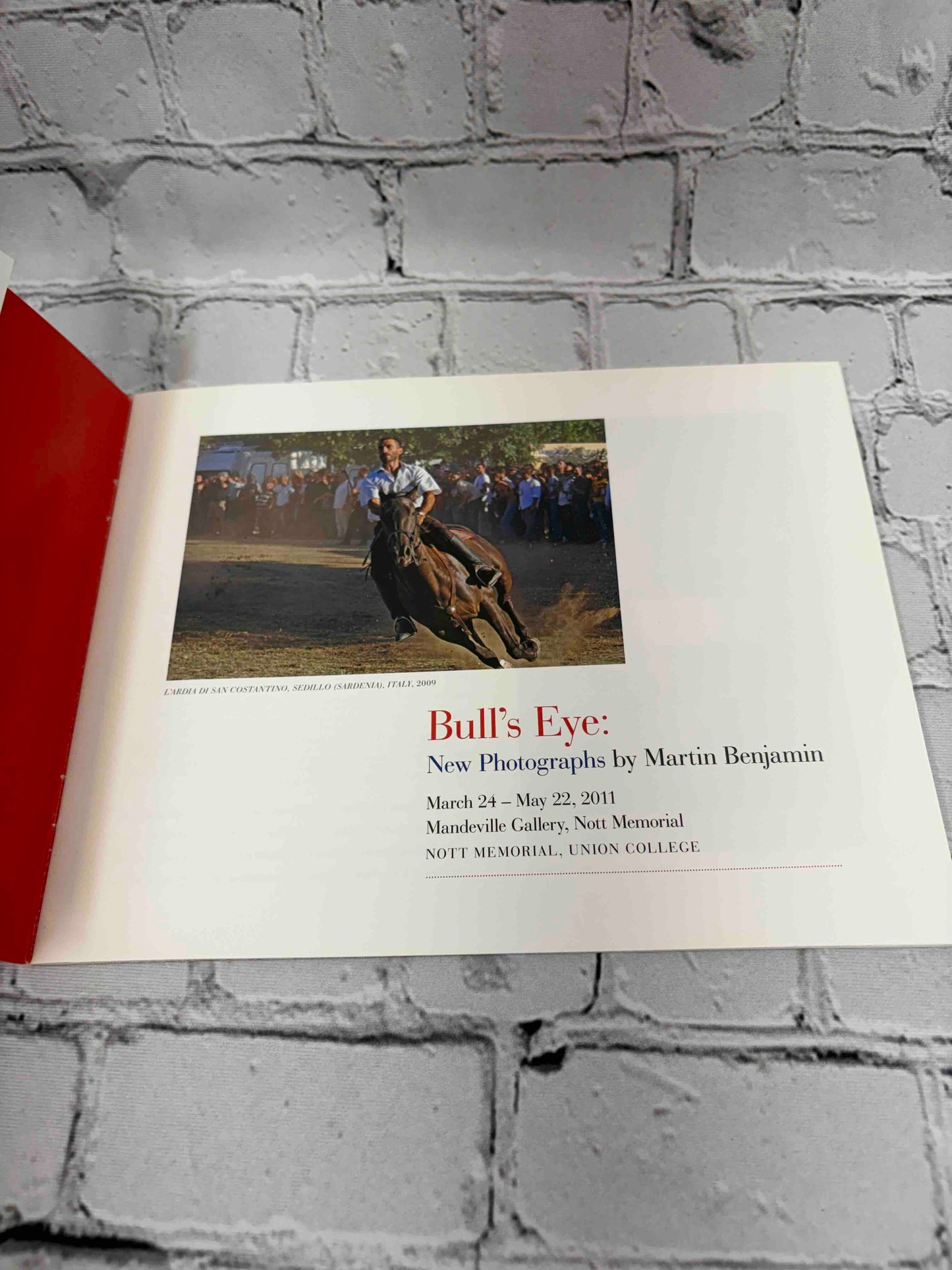 Bull's Eye: New Photographs