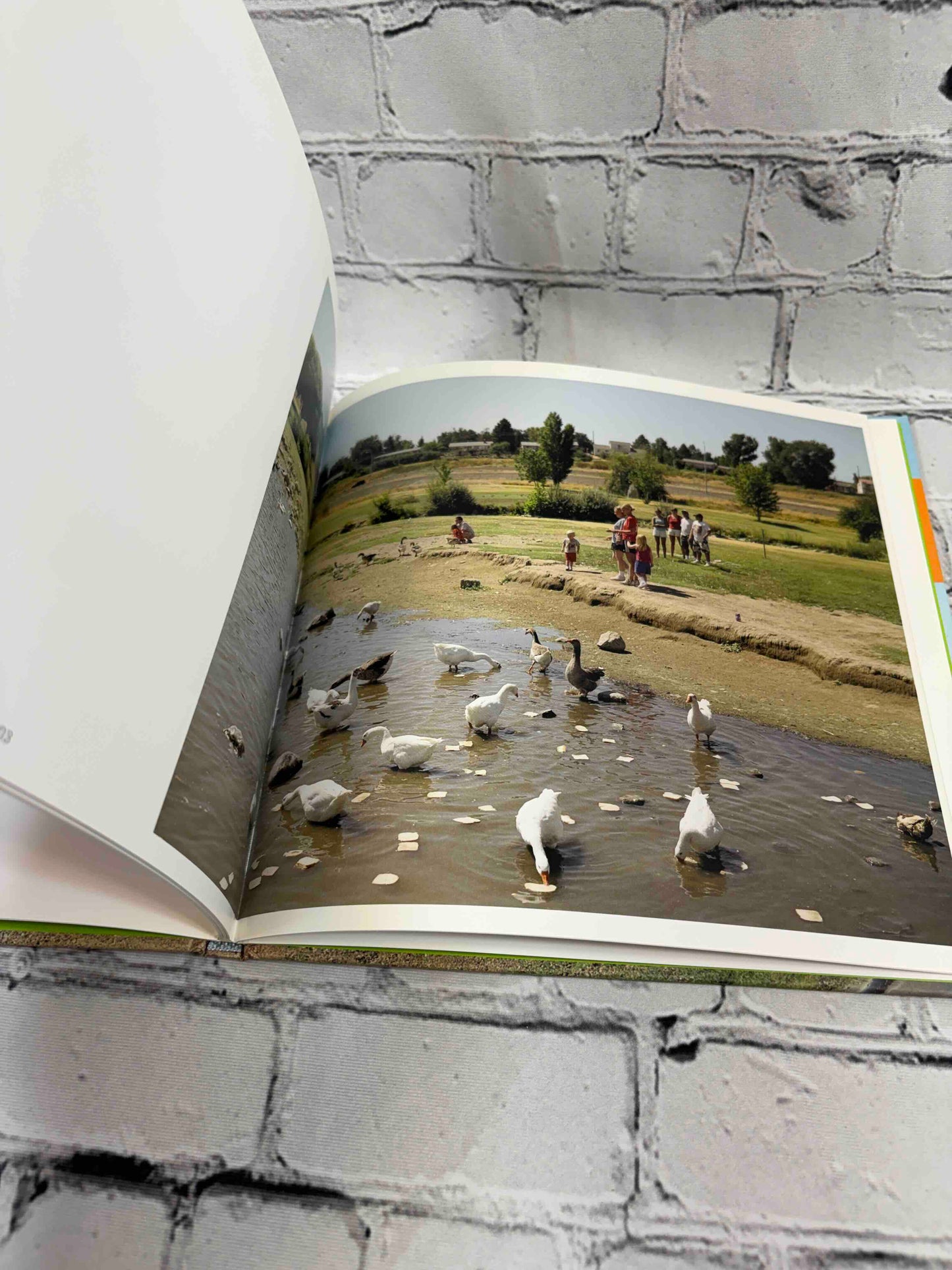 Justin Newhall (MP3: Midwest Photographers Publication Project)