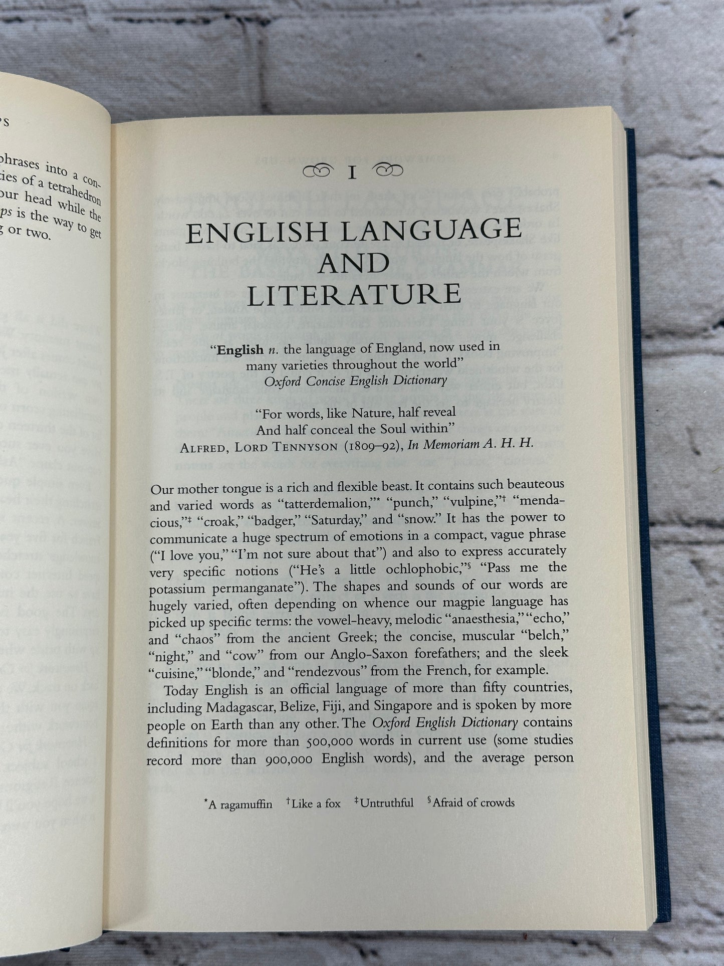 Homework For Grown-Ups by E.Foley & B. Coates [2008 · First US Edition]