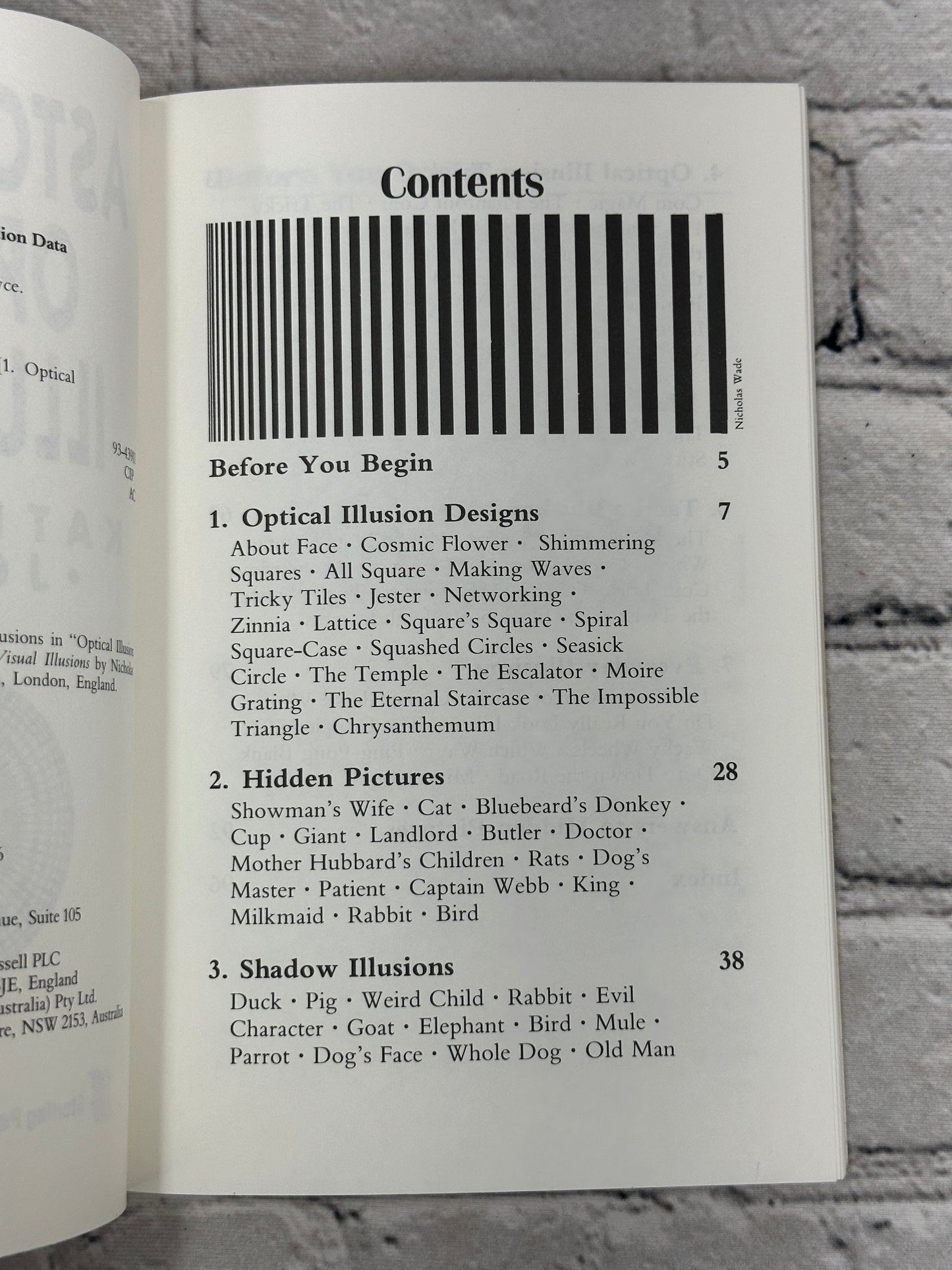 Astounding Optical Illusions by Katherine Joyce [1994 · First Printing]