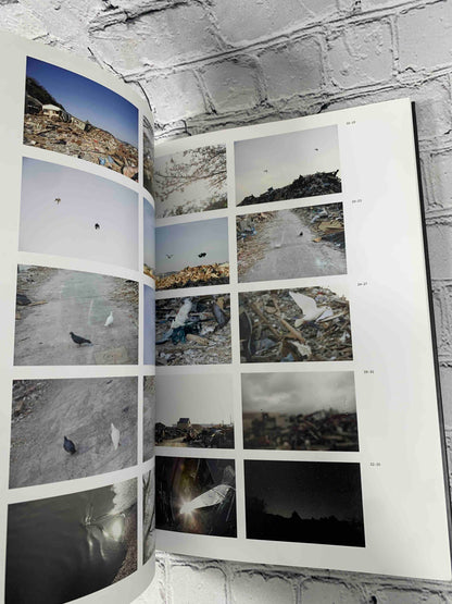 In the Wake: Japanese Photographers Respond to 3-11