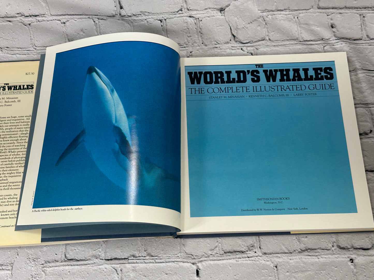 The World's Whales by Minasian, Balcomb, Foster [1984 · First Edition]