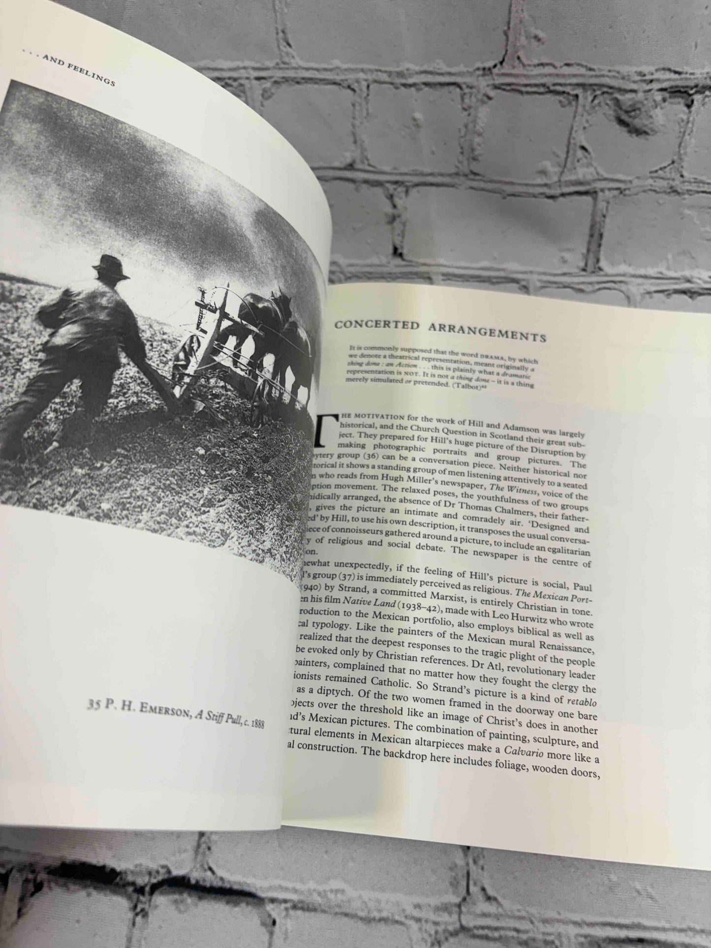 The Photographic Art: Pictorial Traditions in Britain and America