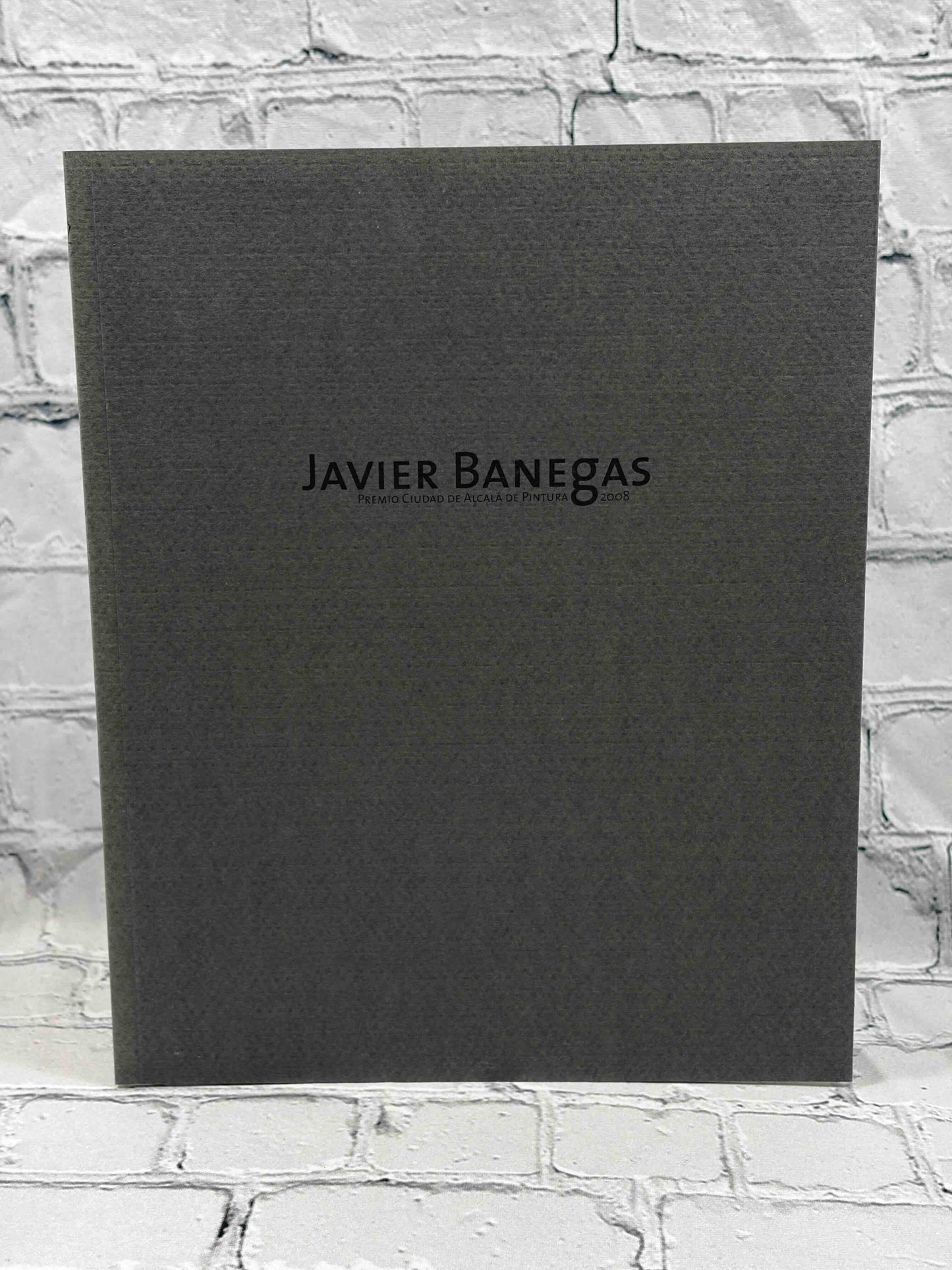 Javier Banegas: Premio Ciudad de Alcala de Pintura 2008