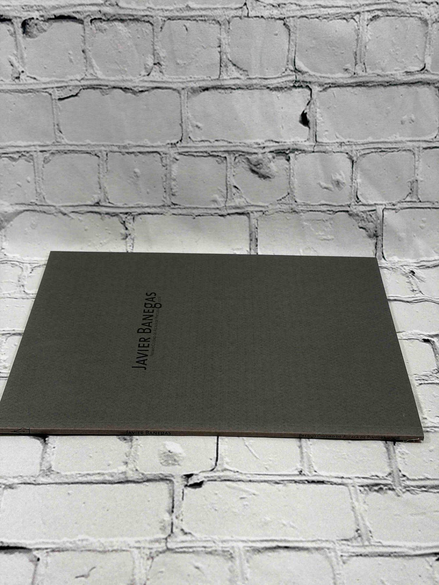 Javier Banegas: Premio Ciudad de Alcala de Pintura 2008