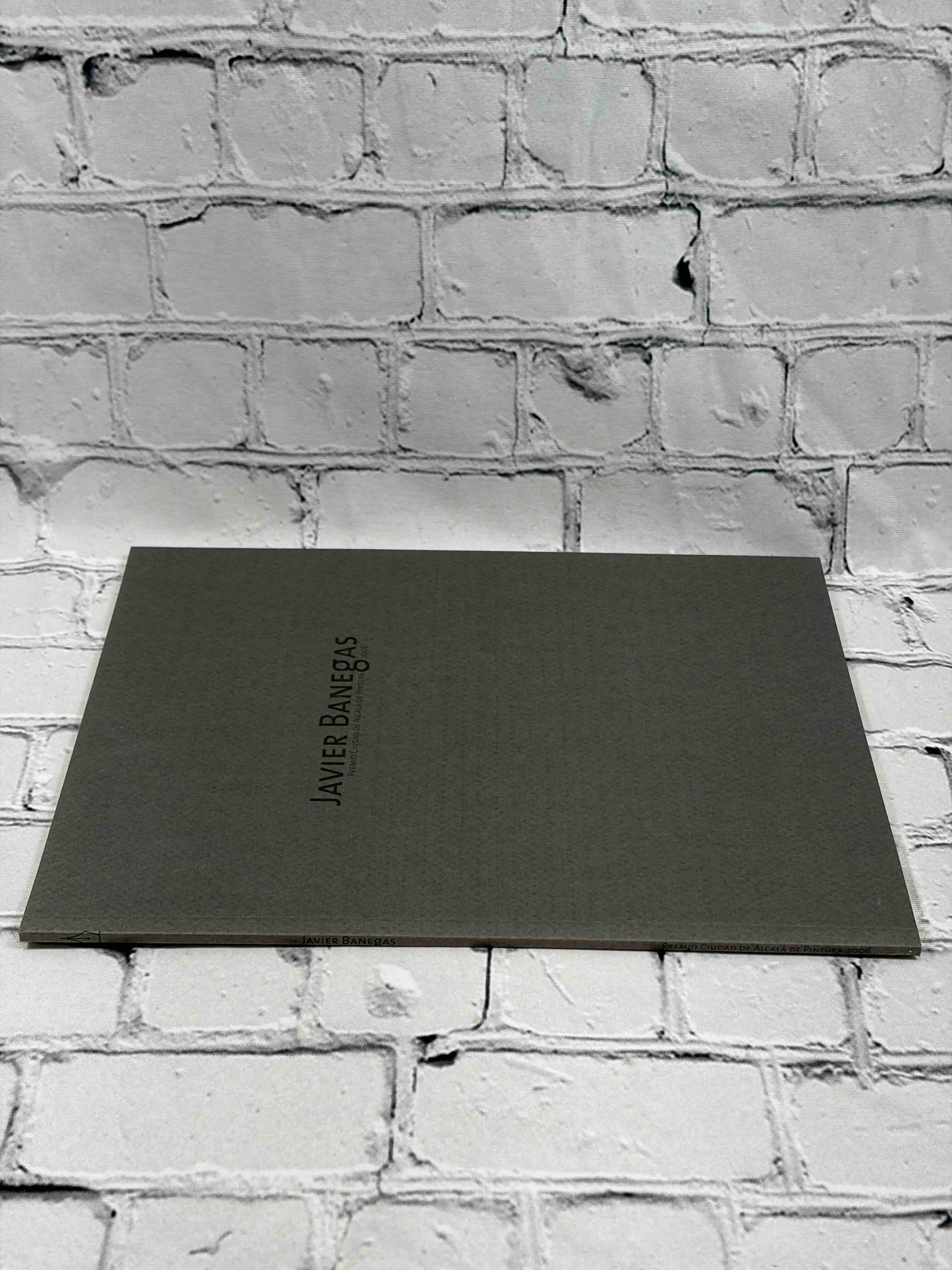 Javier Banegas: Premio Ciudad de Alcala de Pintura 2008