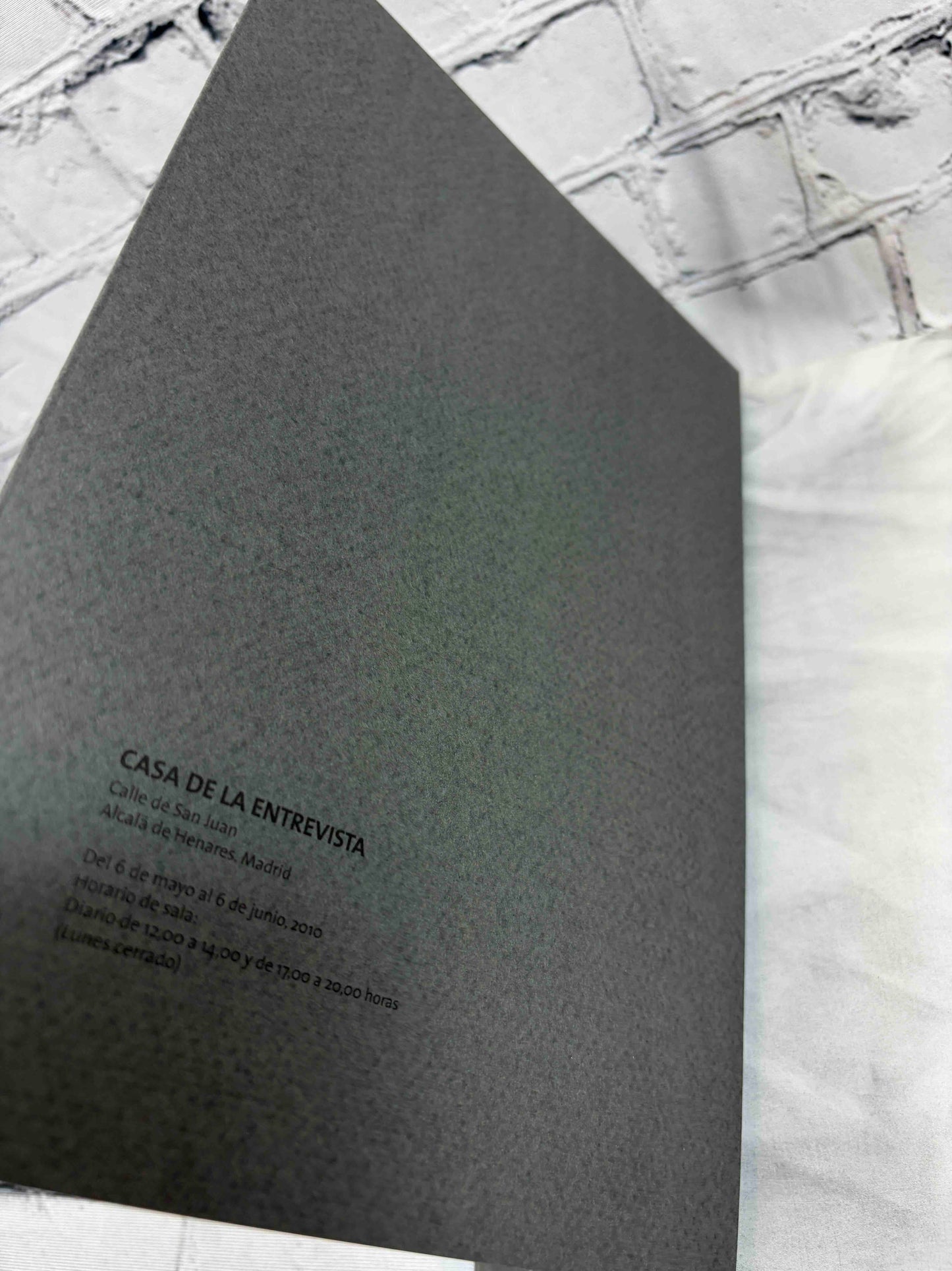 Javier Banegas: Premio Ciudad de Alcala de Pintura 2008