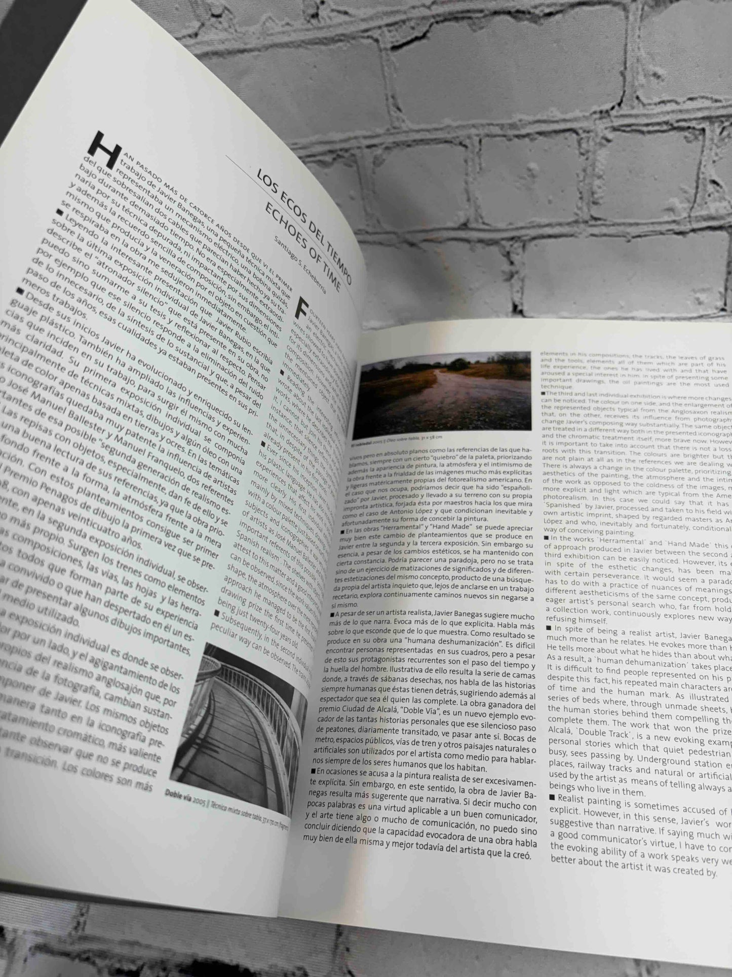 Javier Banegas: Premio Ciudad de Alcala de Pintura 2008