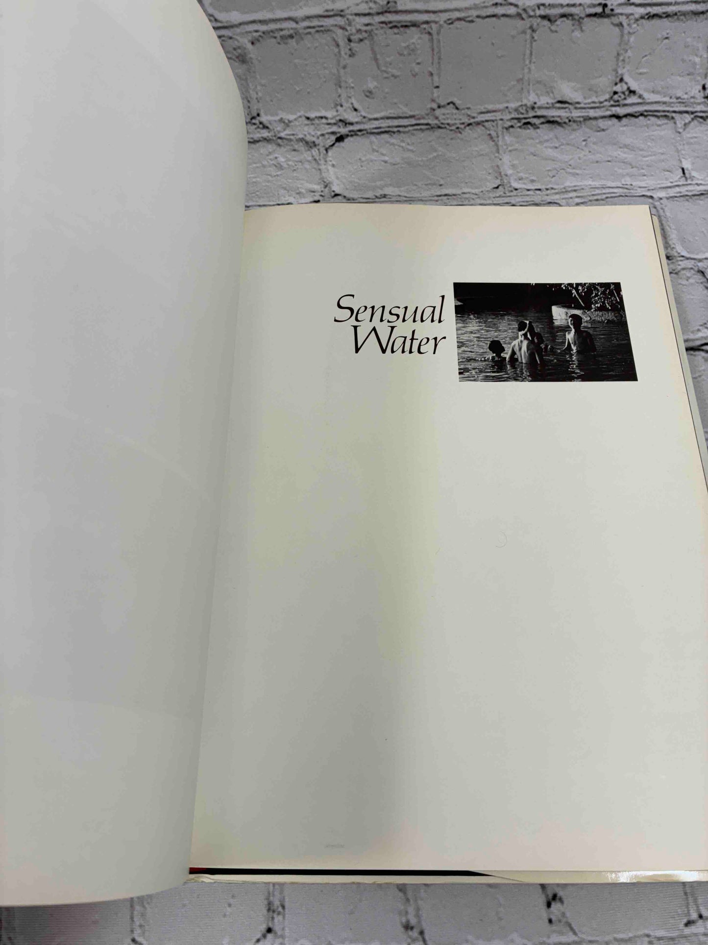 Water: A View from Japan