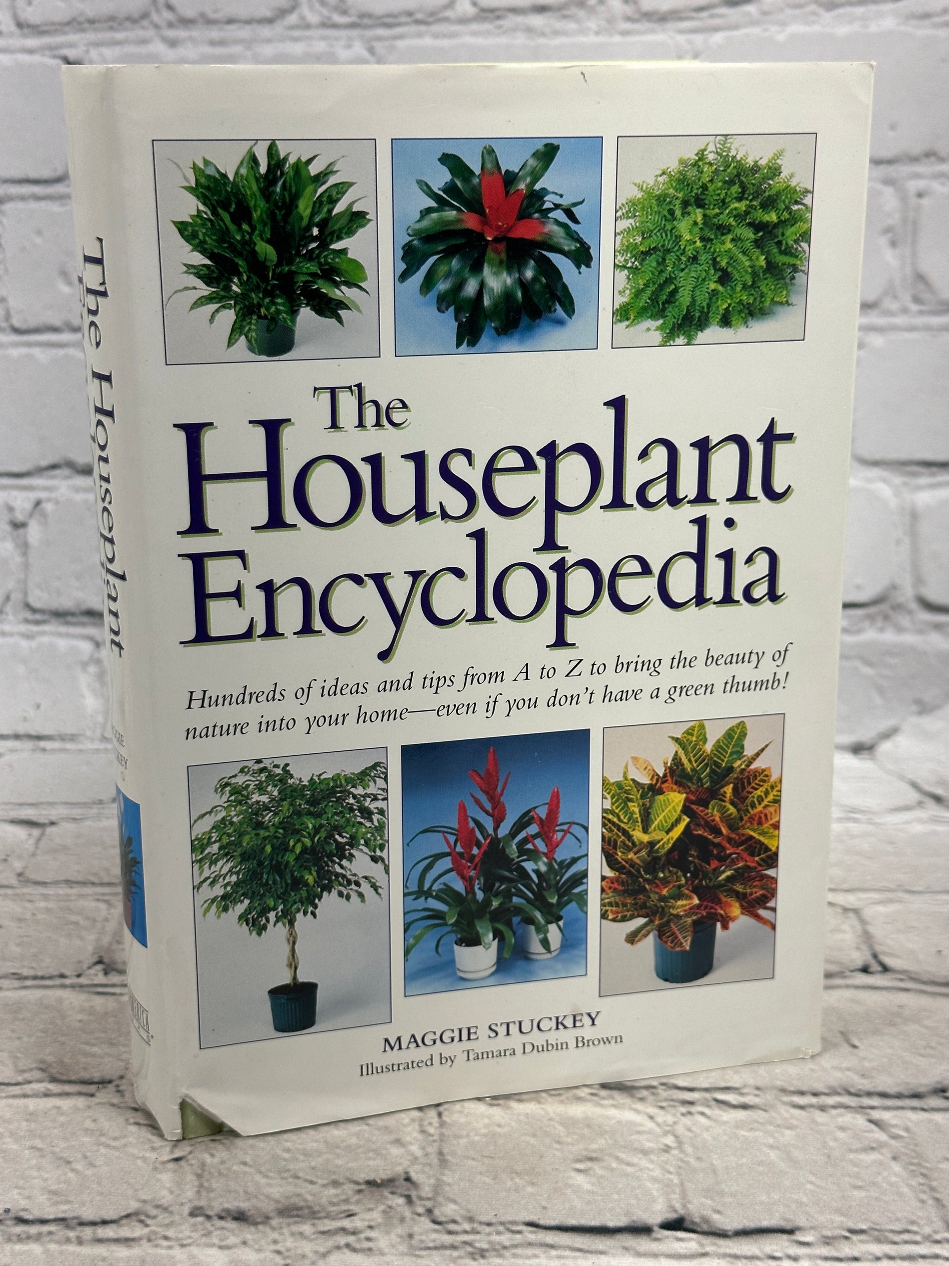 house plant encyclopedia The Houseplant Encyclopedia by Maggie Stuckey [1999] – Flipped Pages