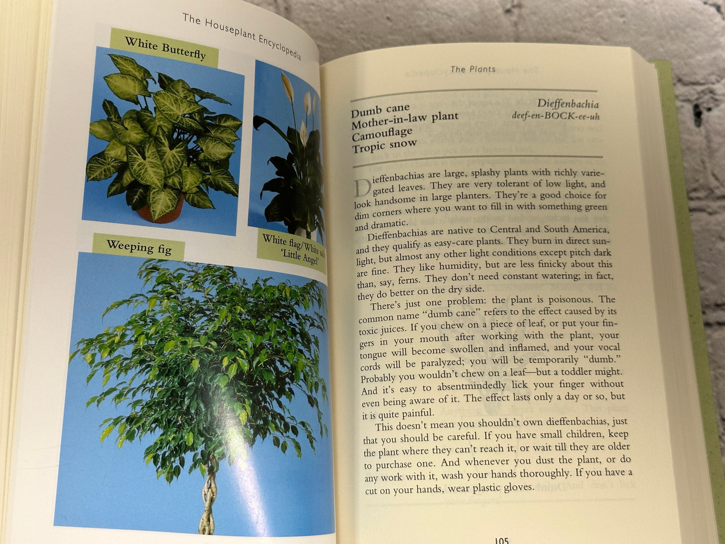 The Houseplant Encyclopedia by Maggie Stuckey [1999]