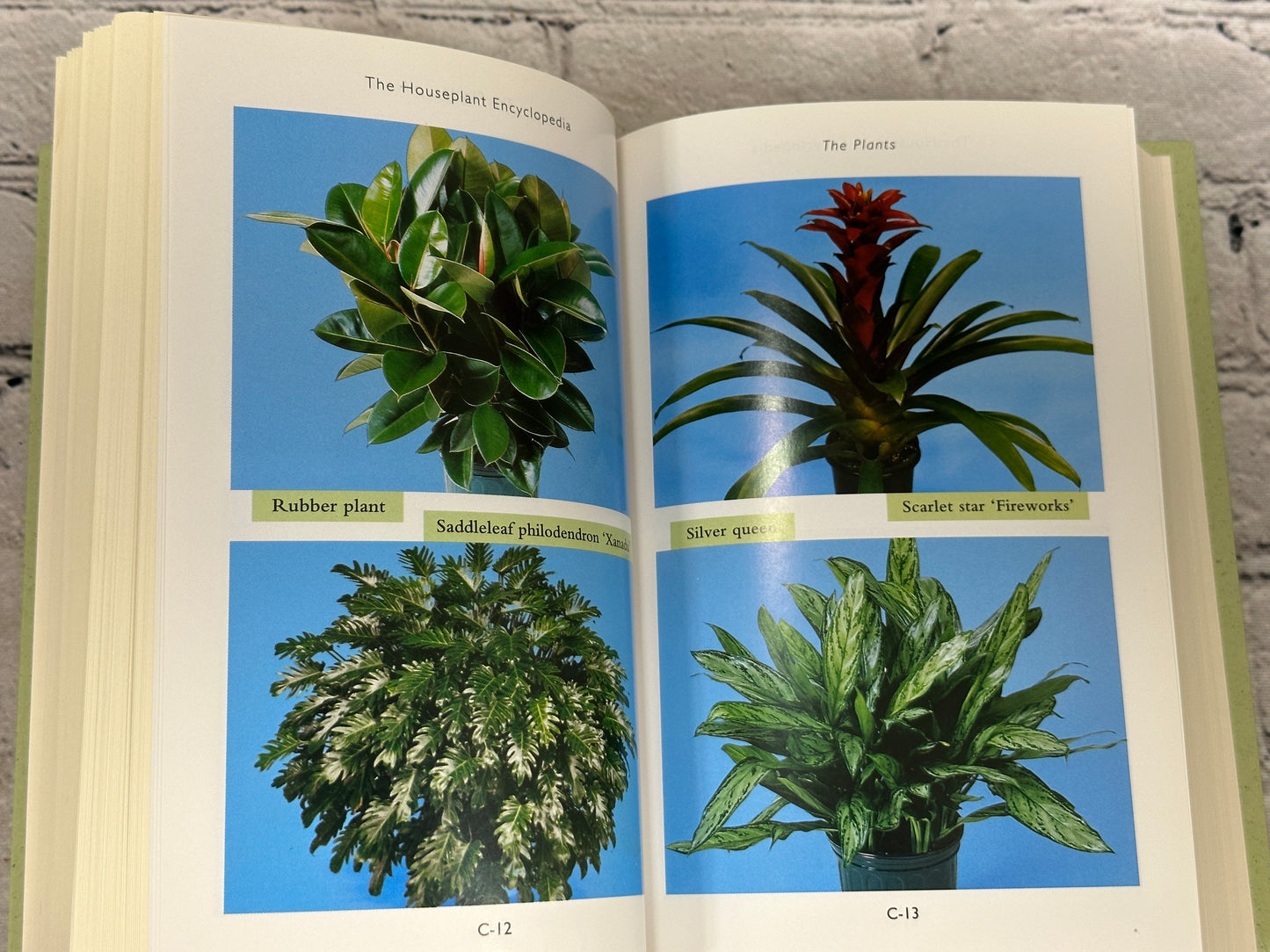 The Houseplant Encyclopedia by Maggie Stuckey [1999]