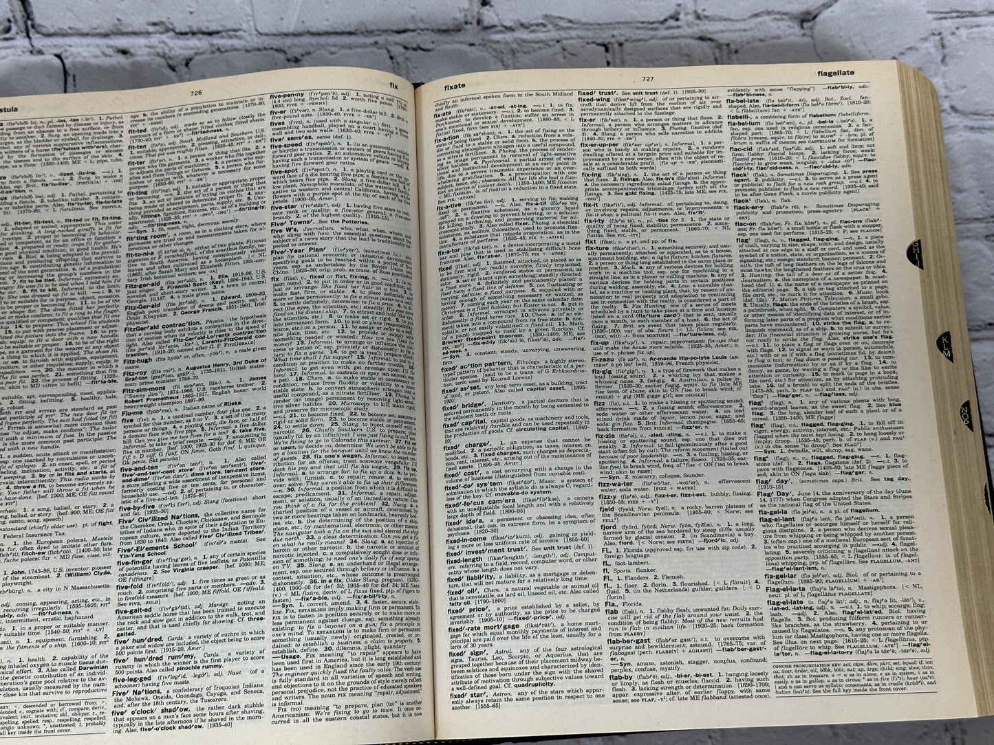 Webster's Encyclopedic Unabridged Dictionary Of The English Language [1996]