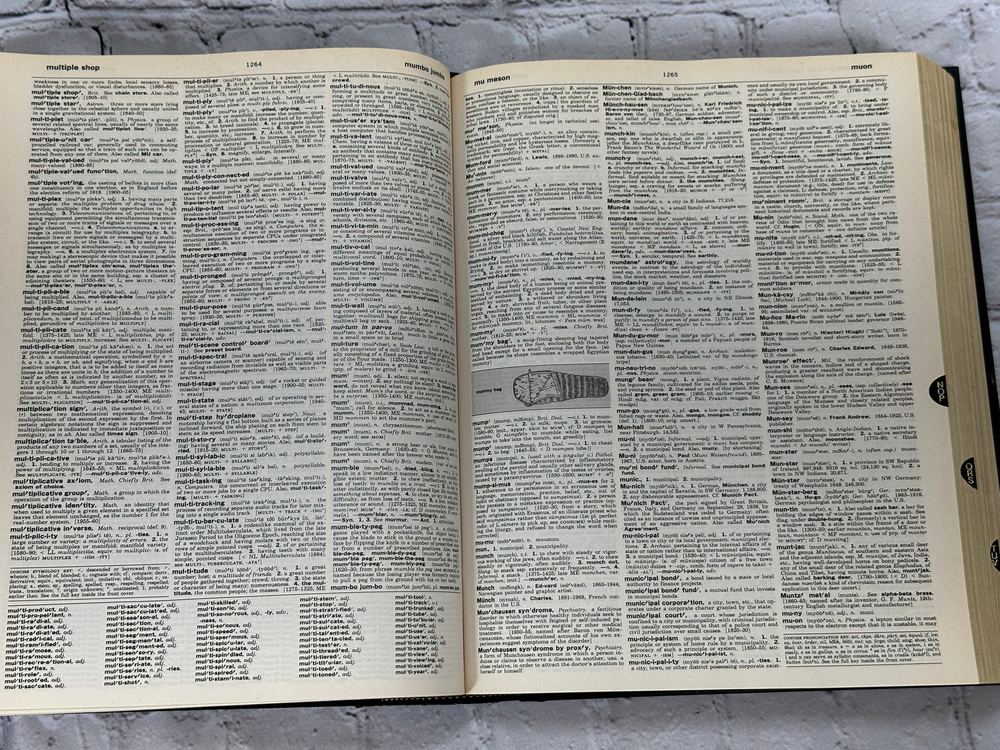 Webster's Encyclopedic Unabridged Dictionary Of The English Language [1996]