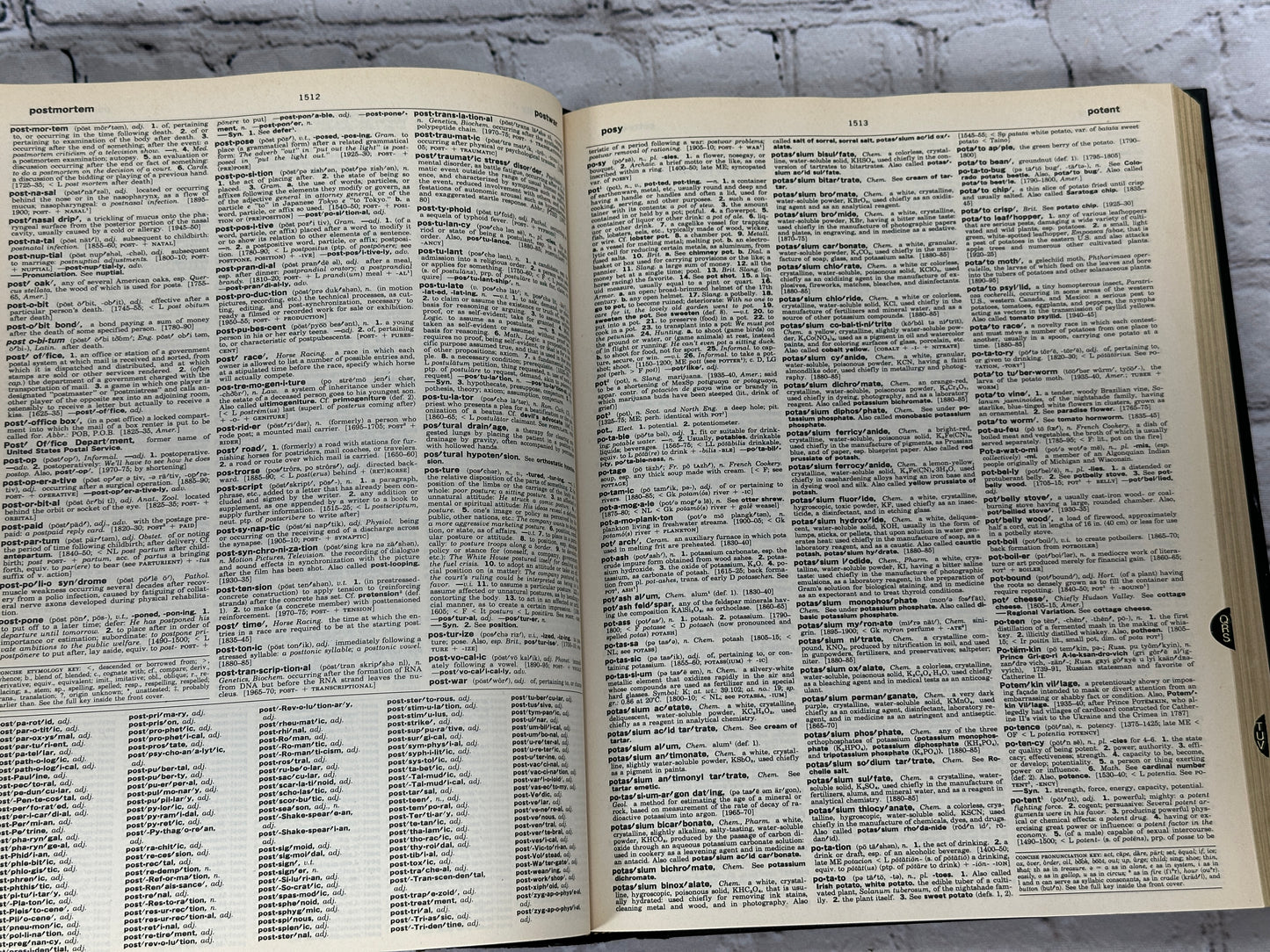 Webster's Encyclopedic Unabridged Dictionary Of The English Language [1996]