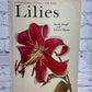 Lilies by Jan de Graaff & Edward Hyams [1968]