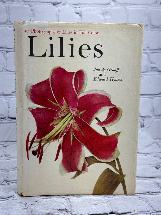 Lilies by Jan de Graaff & Edward Hyams [1968]