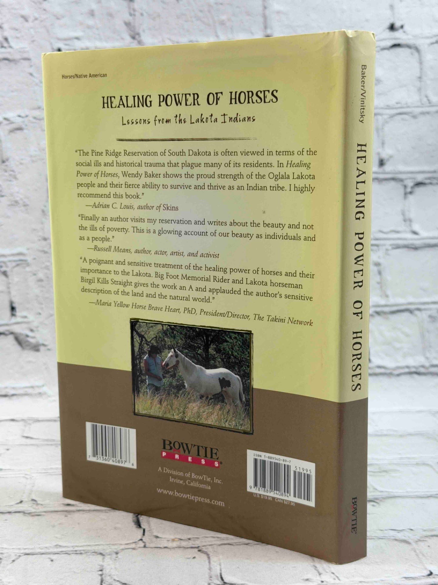 Healing Power of Horses