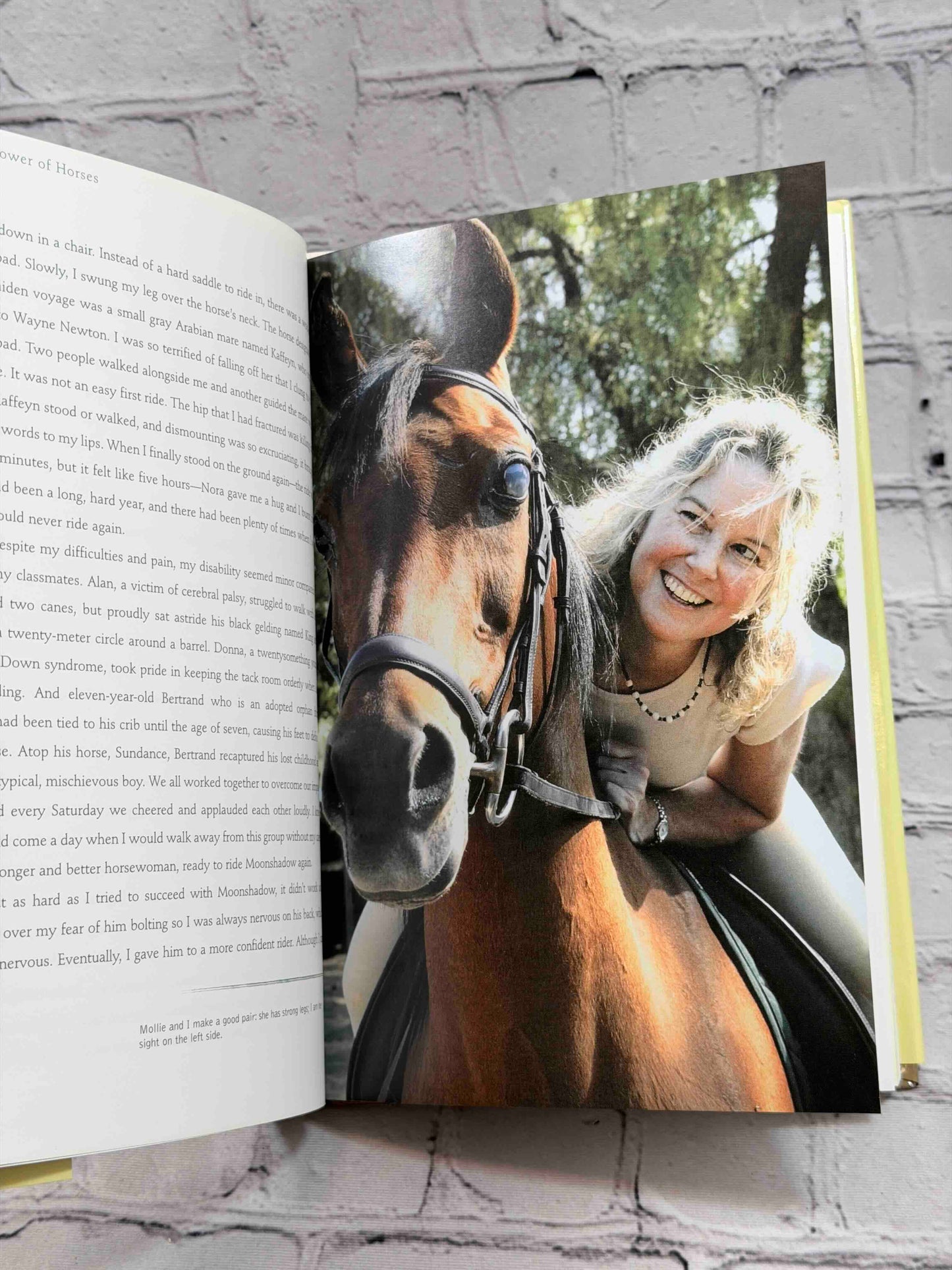 Healing Power of Horses