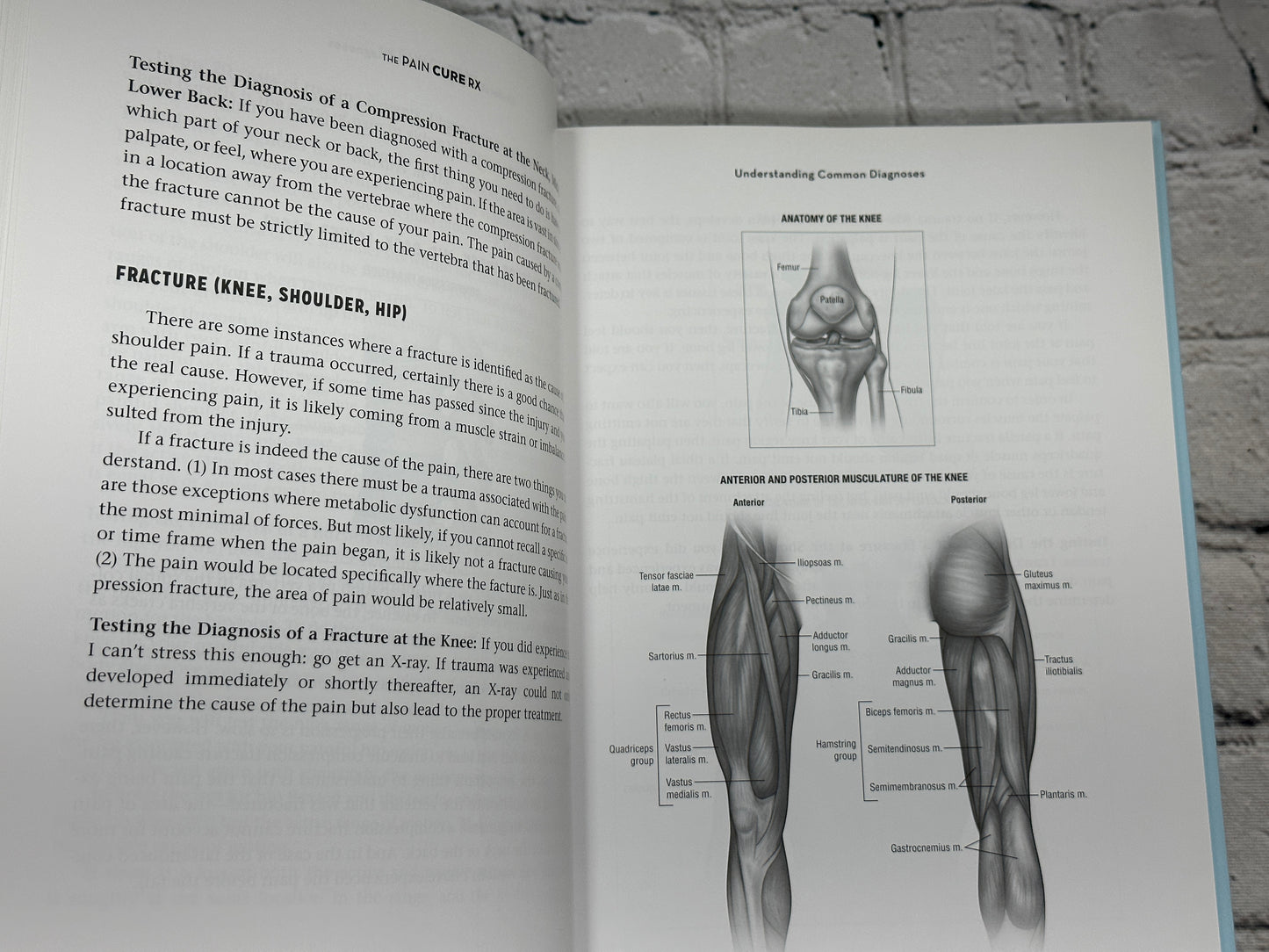 The Pain Cure Rx: The Yass Method... by Dr Mitchell Yass [2015 · First Edition]