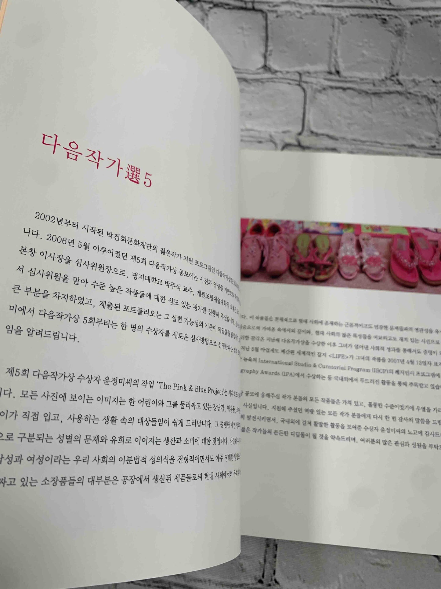 JeongMee Yoon: The Pink and Blue Project (Signed)