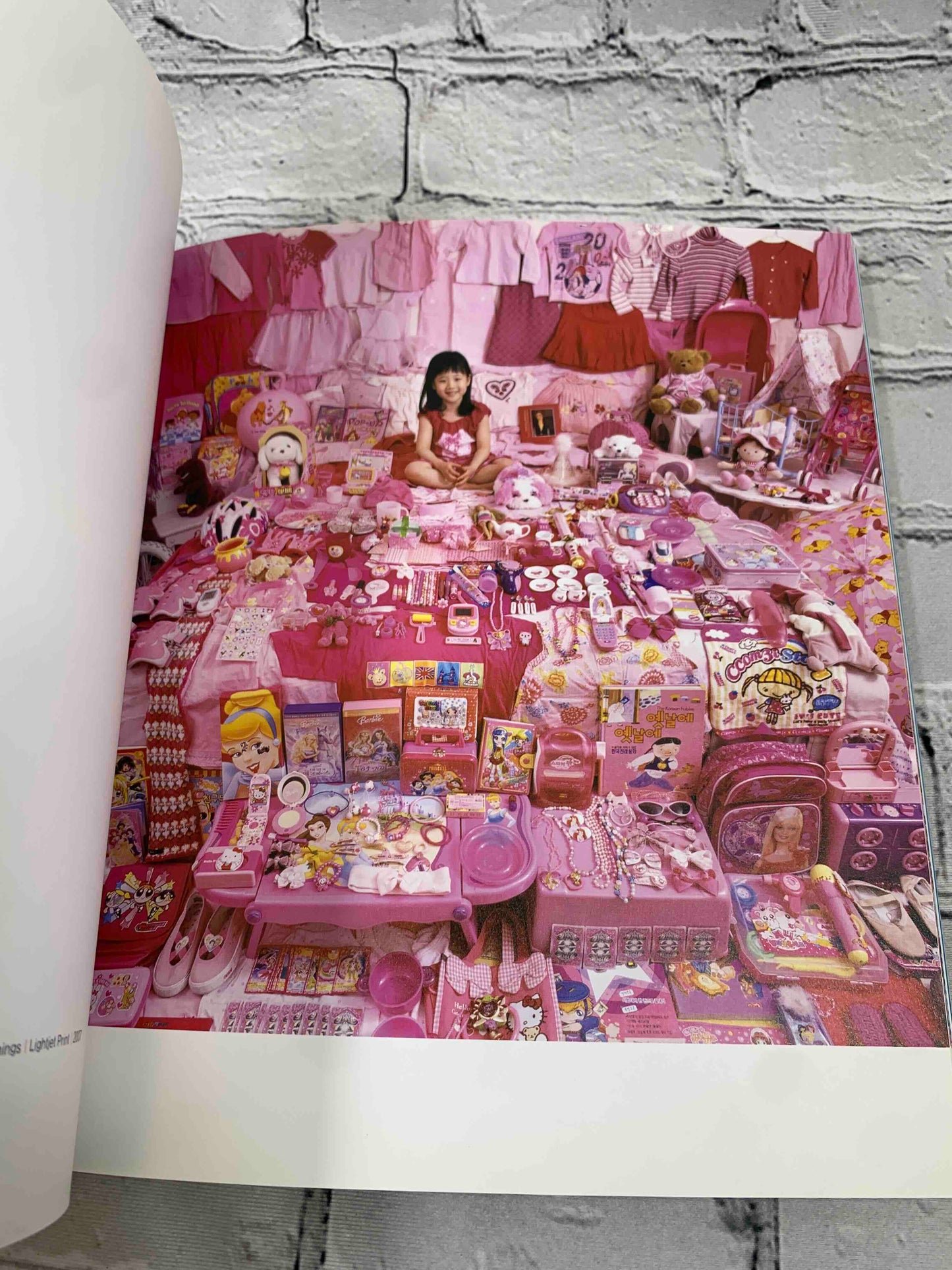 JeongMee Yoon: The Pink and Blue Project (Signed)