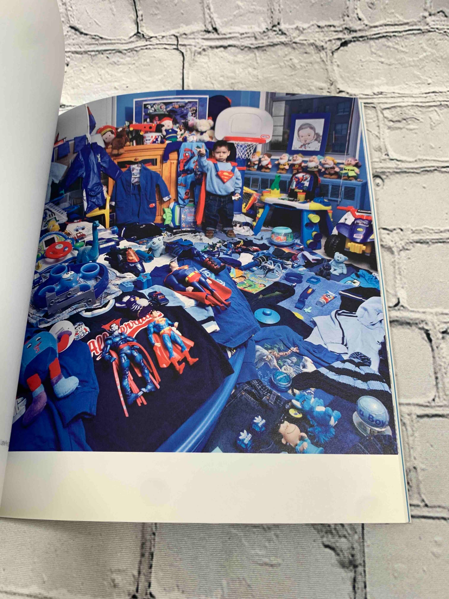 JeongMee Yoon: The Pink and Blue Project (Signed)