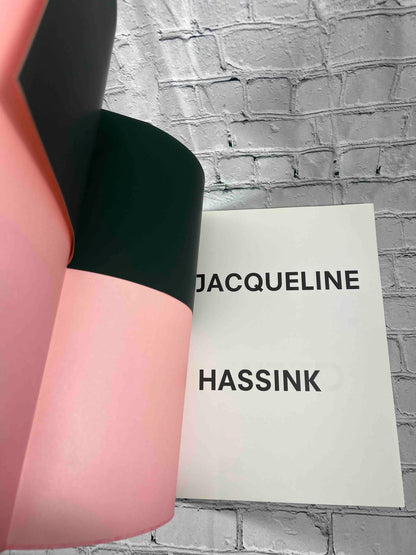 Jacqueline Hassink: View, Kyoto On Japanese Gardens and Temples