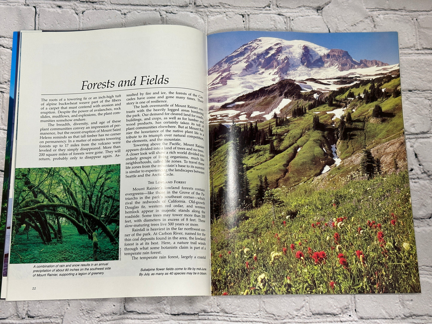 Mount Rainier: The Story Behind the Scenery-by Ray Snow [1986 · 2nd Print]